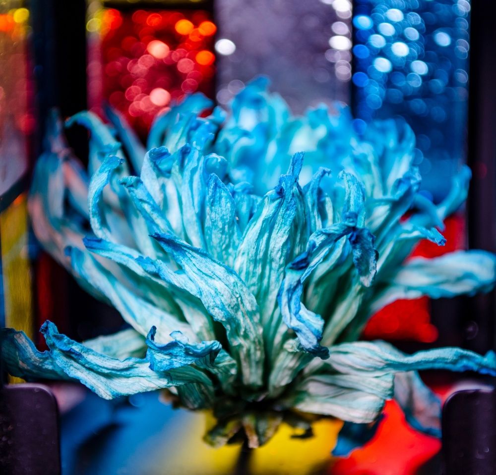 Photograph by Любовь Бусова