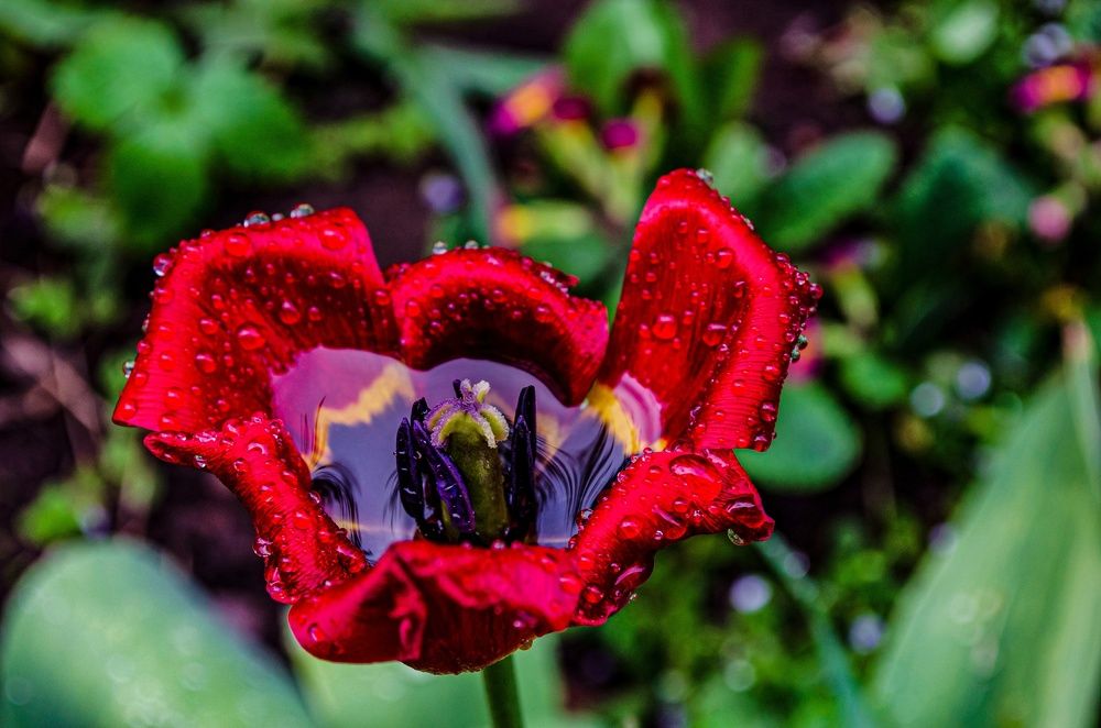 Photograph by Любовь Бусова