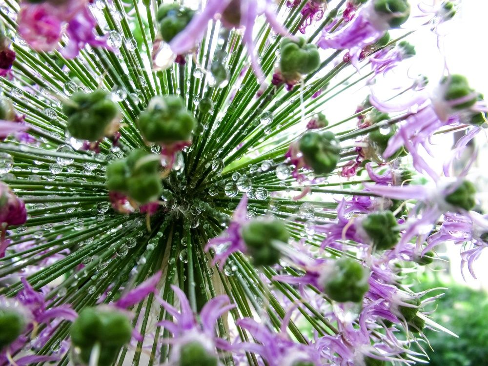 Photograph by Любовь Бусова