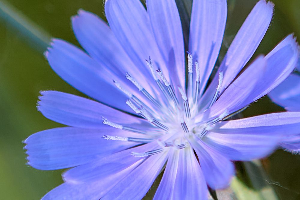 Photograph by Голованов Николай