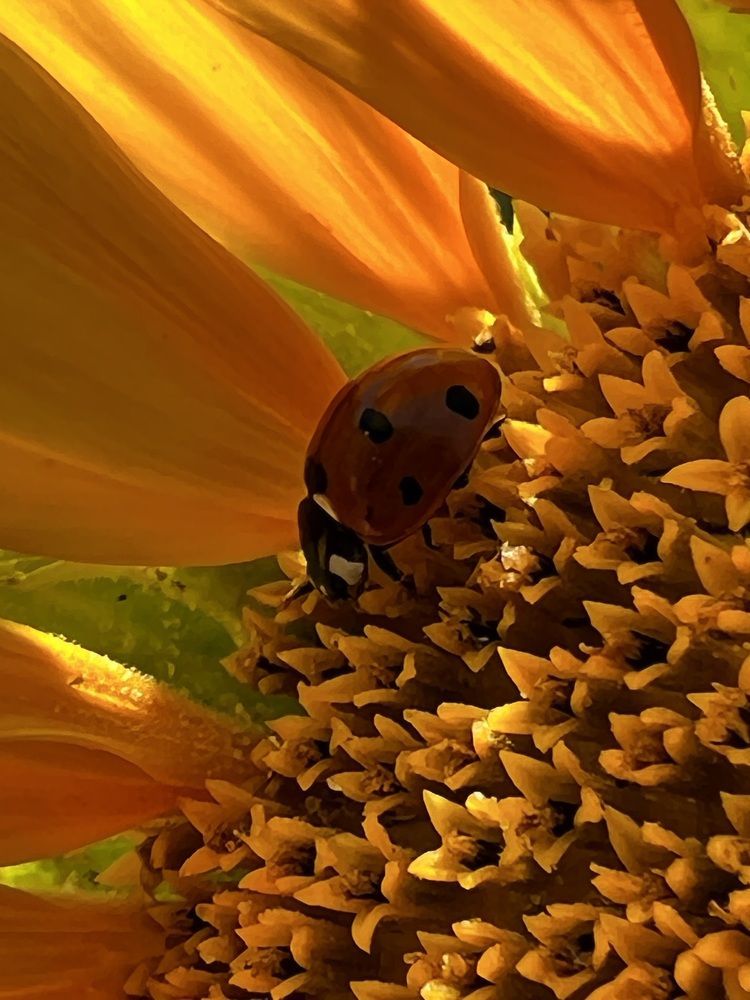 Photograph by Eugenia Schmidt