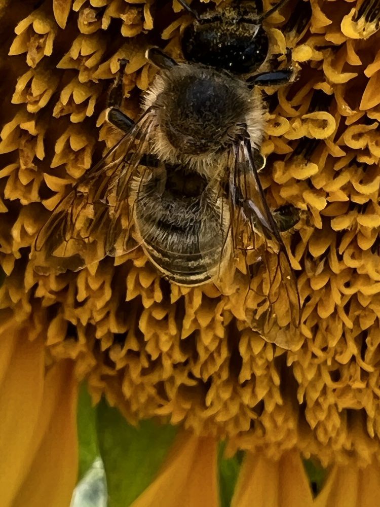 Photograph by Eugenia Schmidt