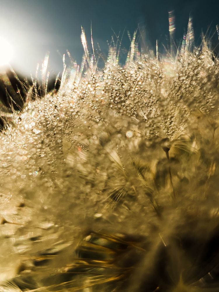 Photograph by Eugenia Schmidt