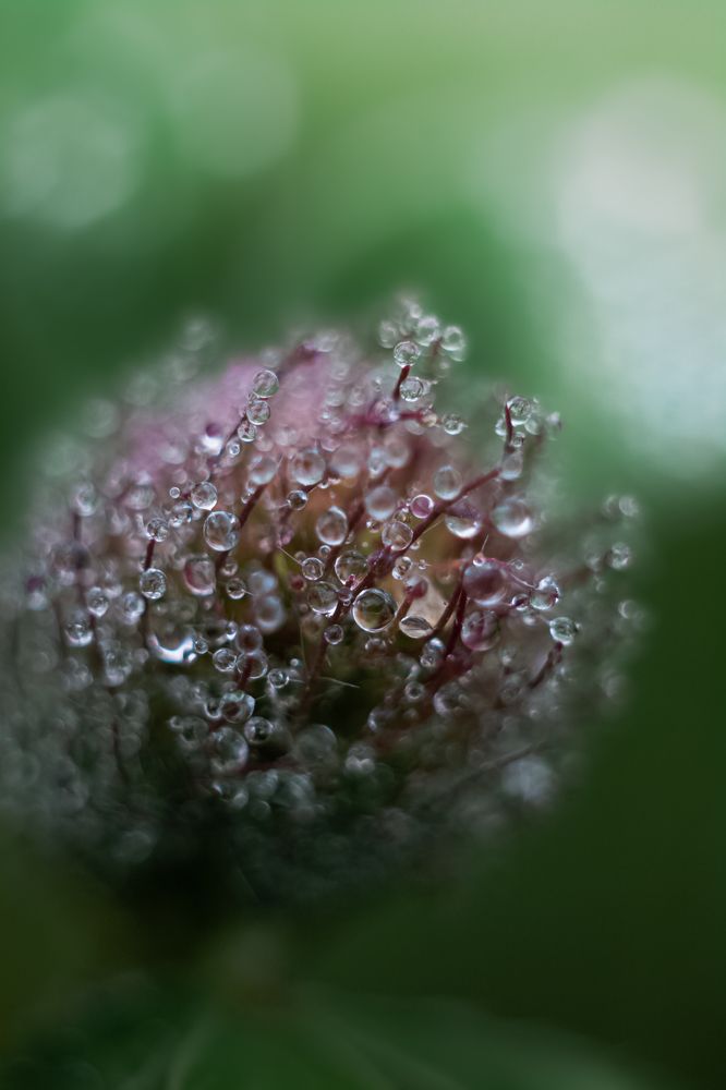 Photograph by Наталья Островцева