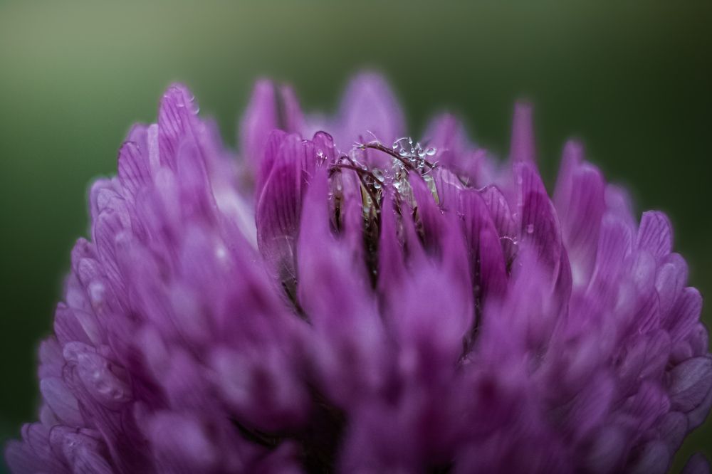 Photograph by Наталья Островцева