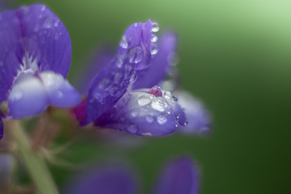 Photograph by Наталья Островцева