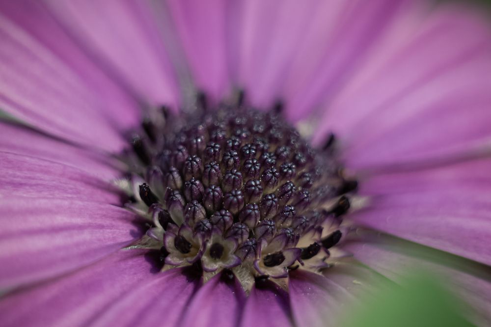 Photograph by Наталья Островцева