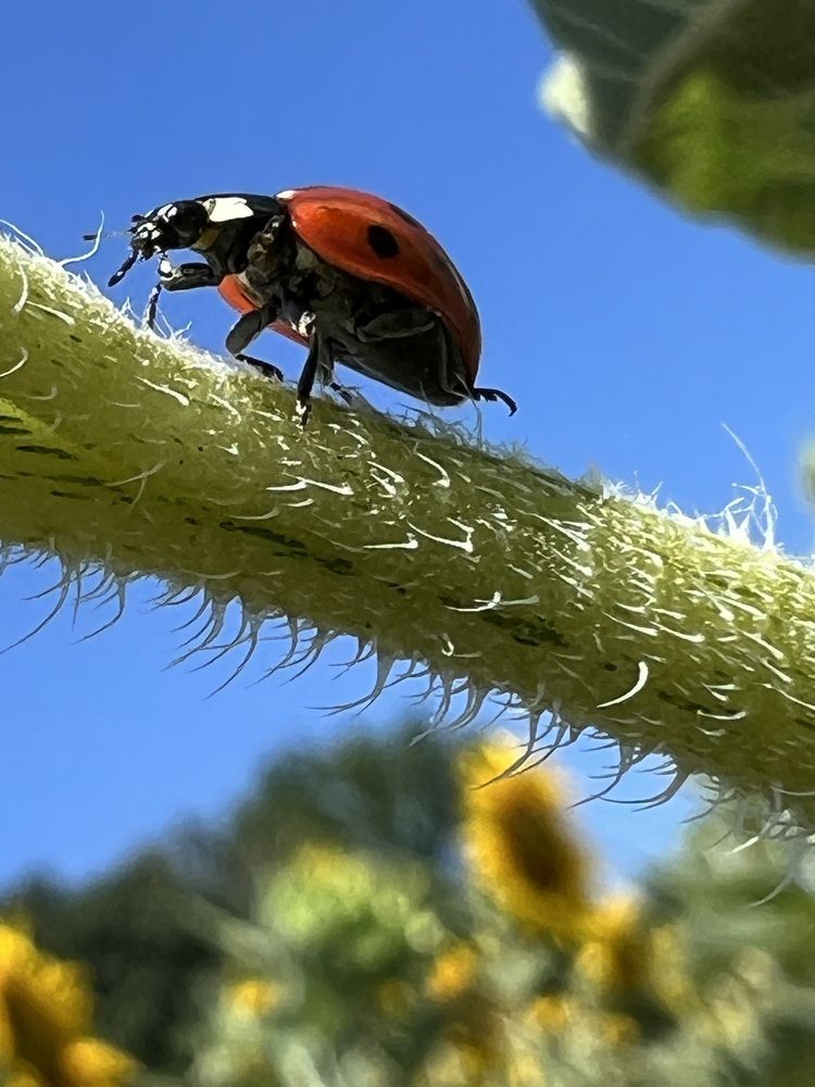 Photograph by Eugenia Schmidt