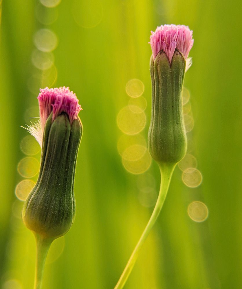 Photograph by QUYET NGUYEN TRONG