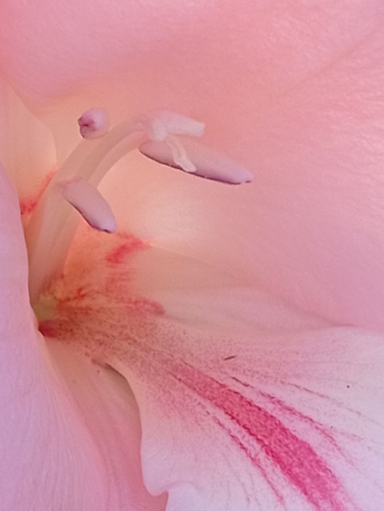 Photograph by Елена Коробченко