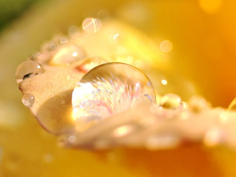 Photograph by Юлия Гинтер