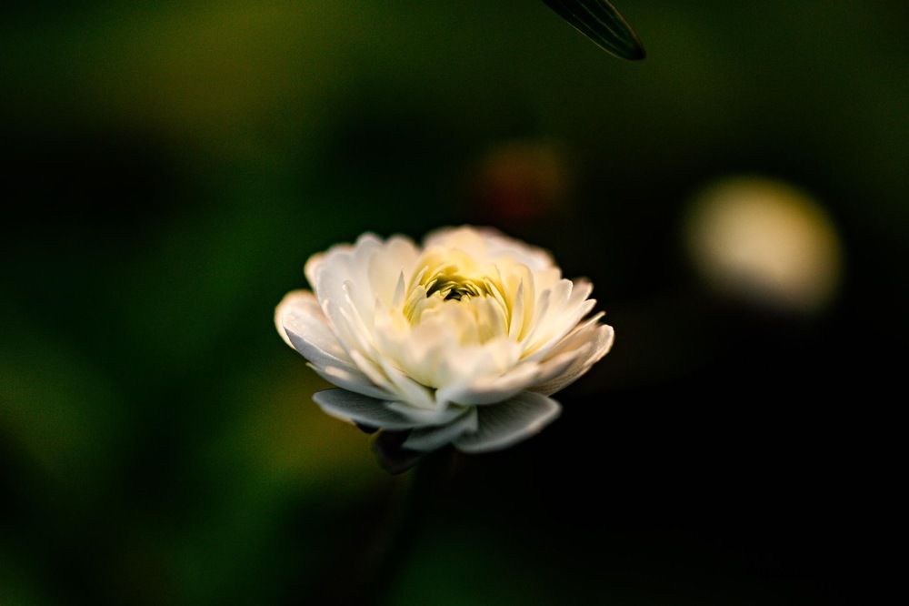 Фотография автора Jana Treija