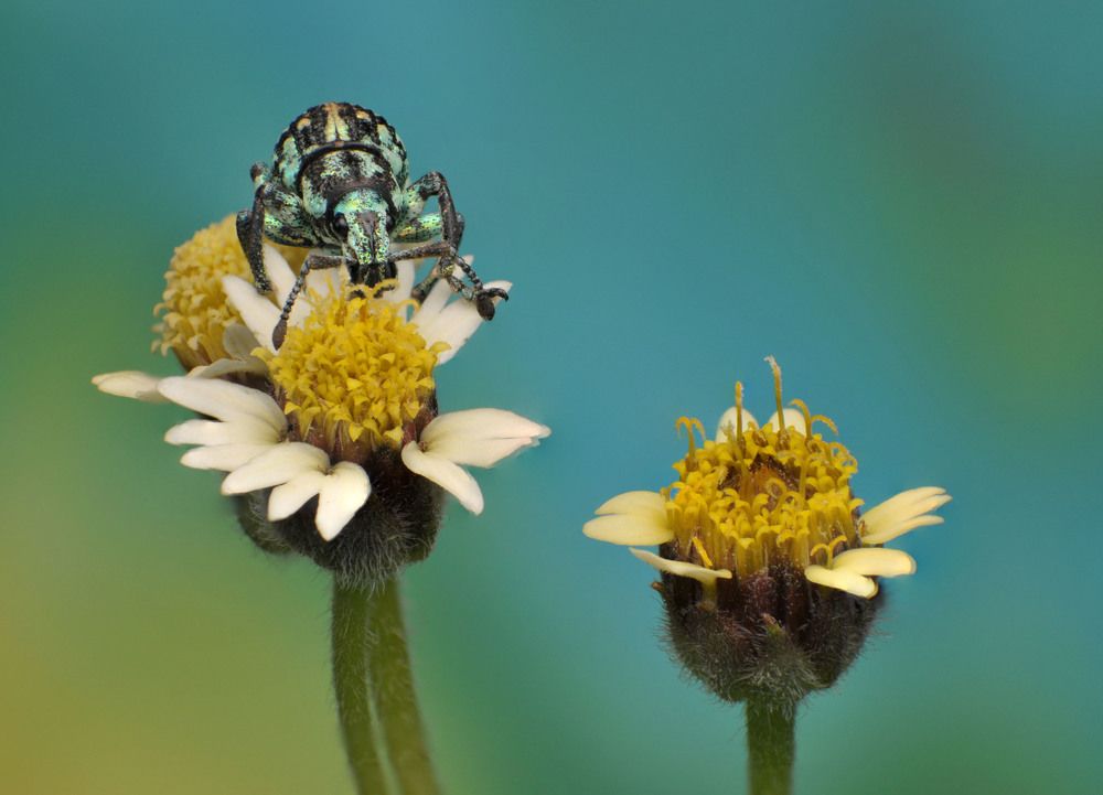 Photograph by Celis Norman