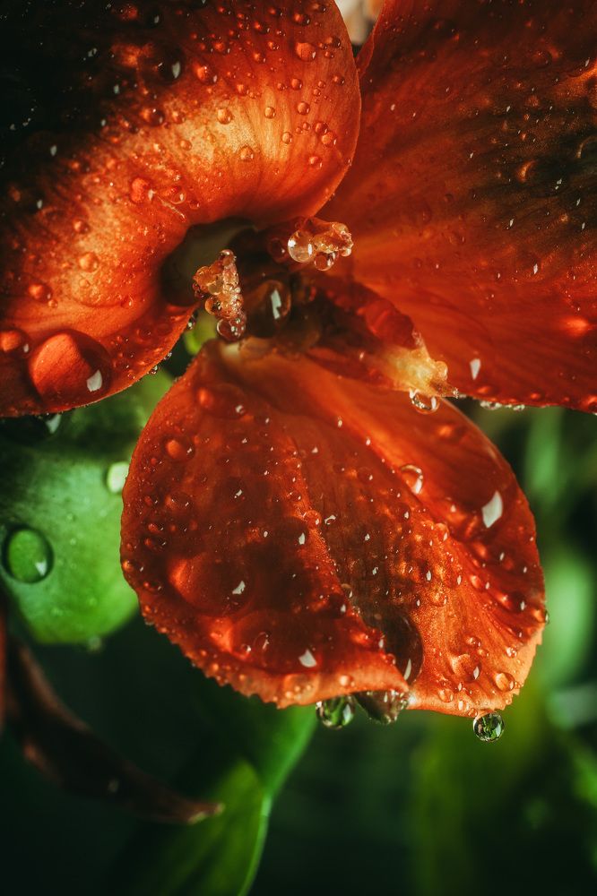 Фотография автора Вадим Поспелов