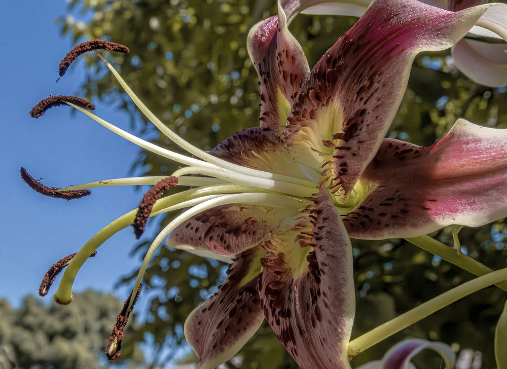 Photograph by Сергей Христинич