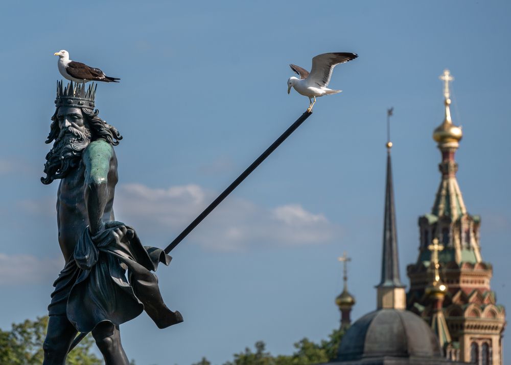 Photograph by Анна Стрелковская