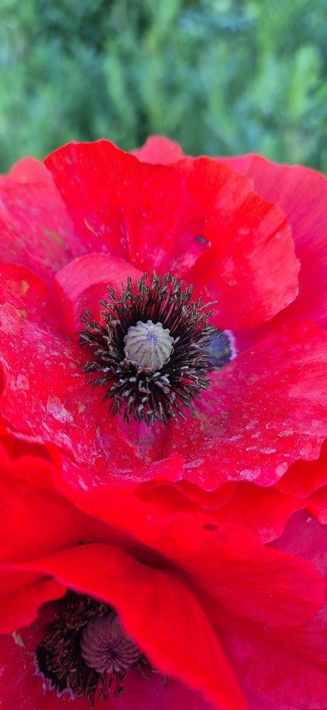 Фотография автора Ольга Мусина