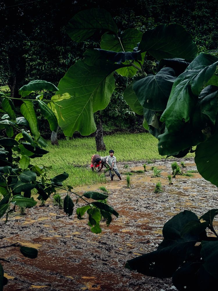 Photograph by Bhargav Patel