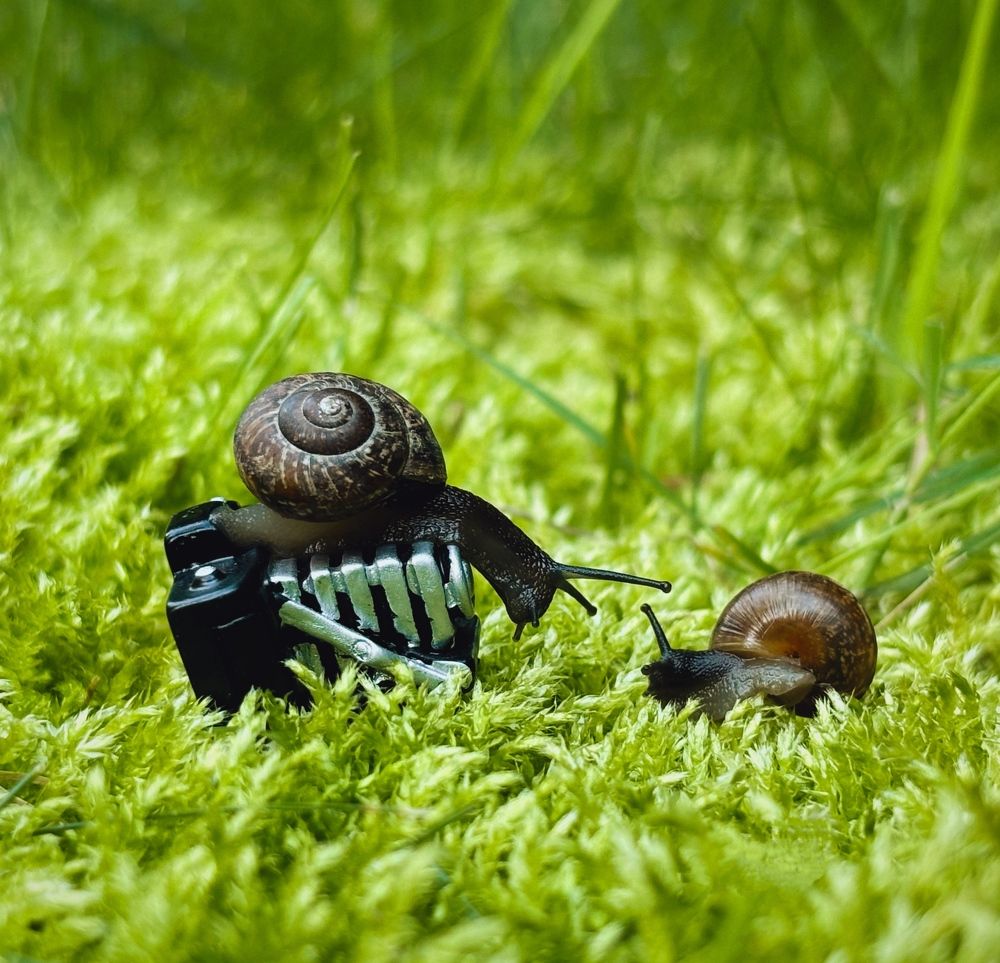 Photograph by Марина