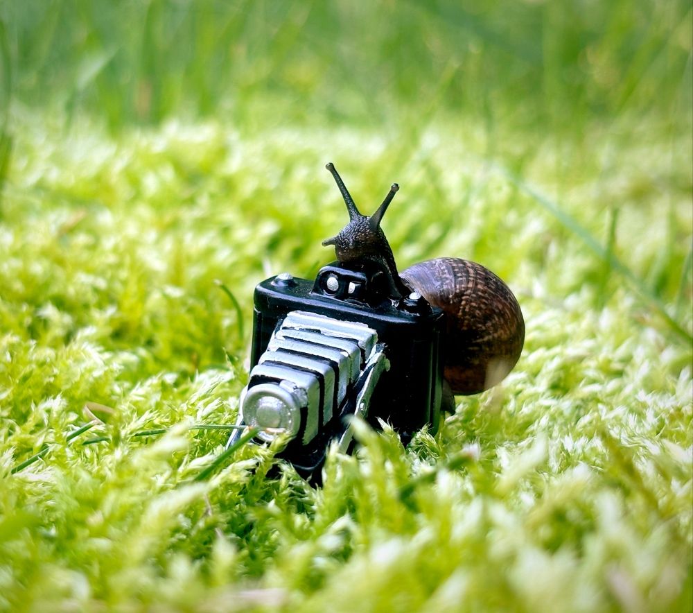 Photograph by Марина