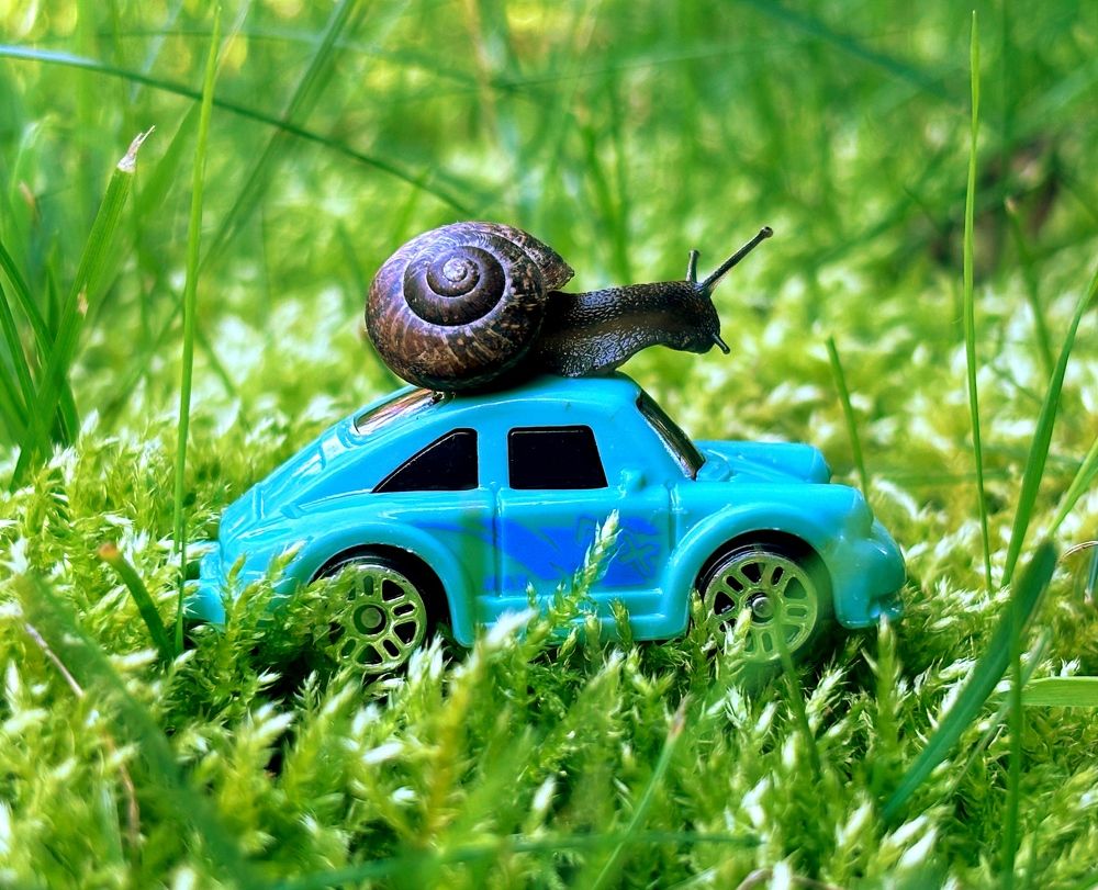 Photograph by Марина