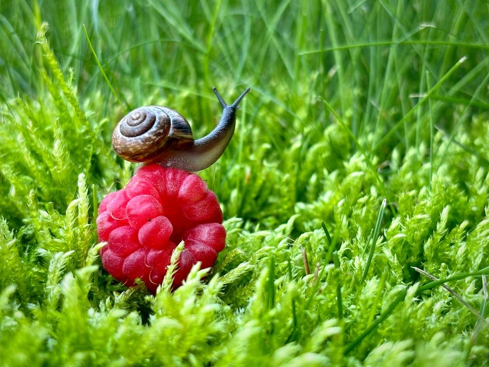 Photograph by Марина