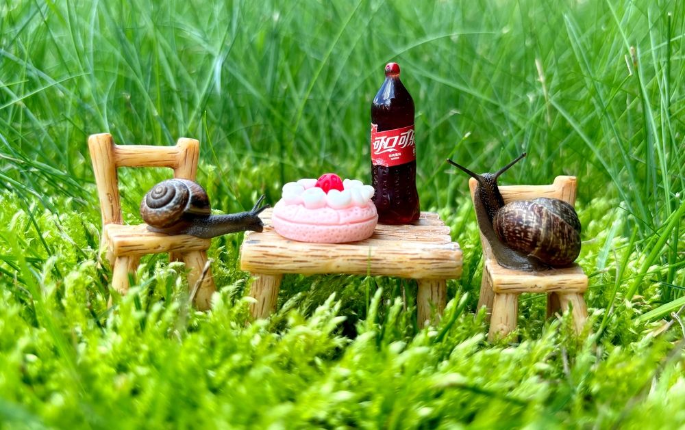 Photograph by Марина