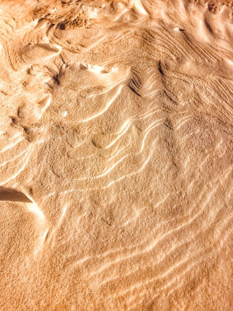 Photograph by Титаренко Людмила