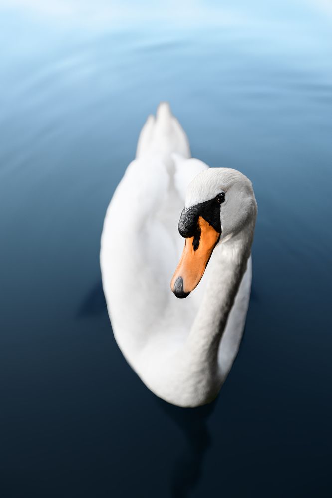 Фотография автора Фёдор Баронов