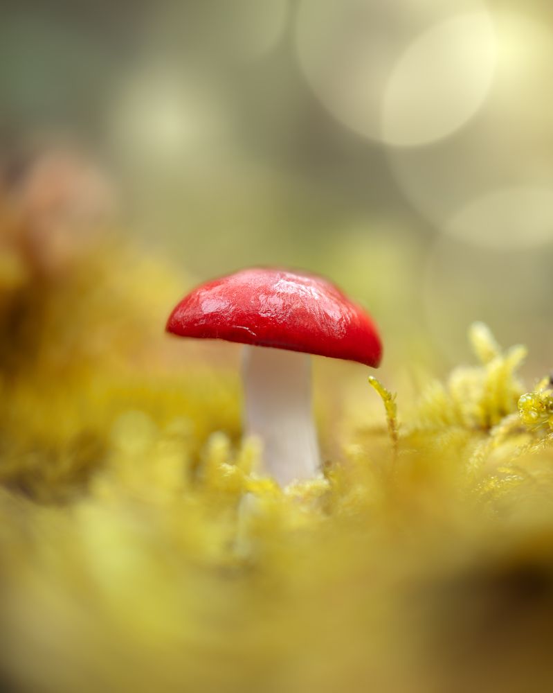 Photograph by Damian Kozik