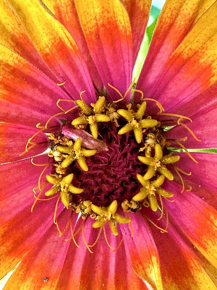 Photograph by Irina Kolotova