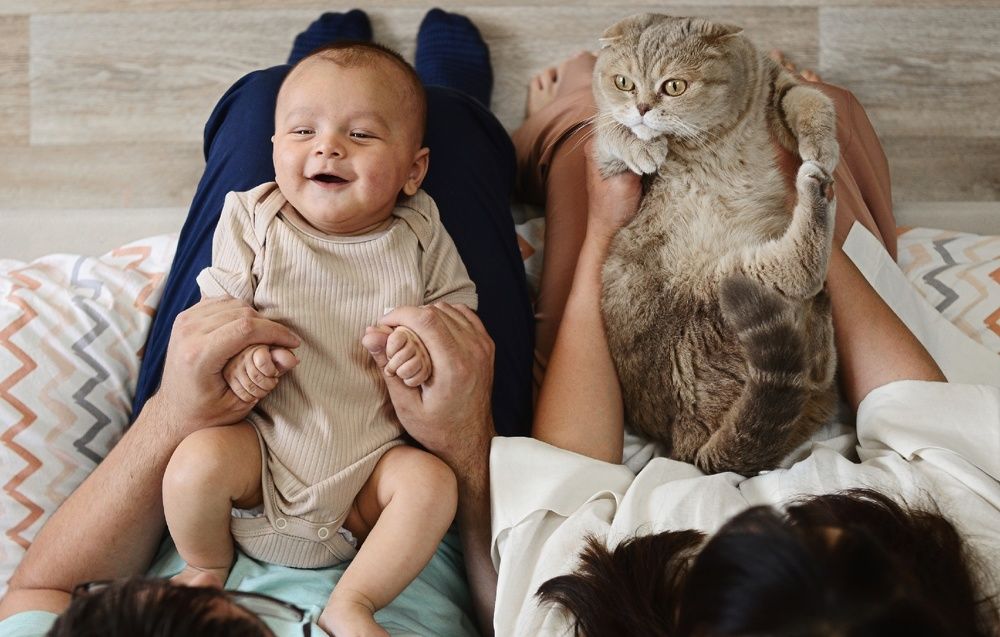 Photograph by Екатерина Шлехт