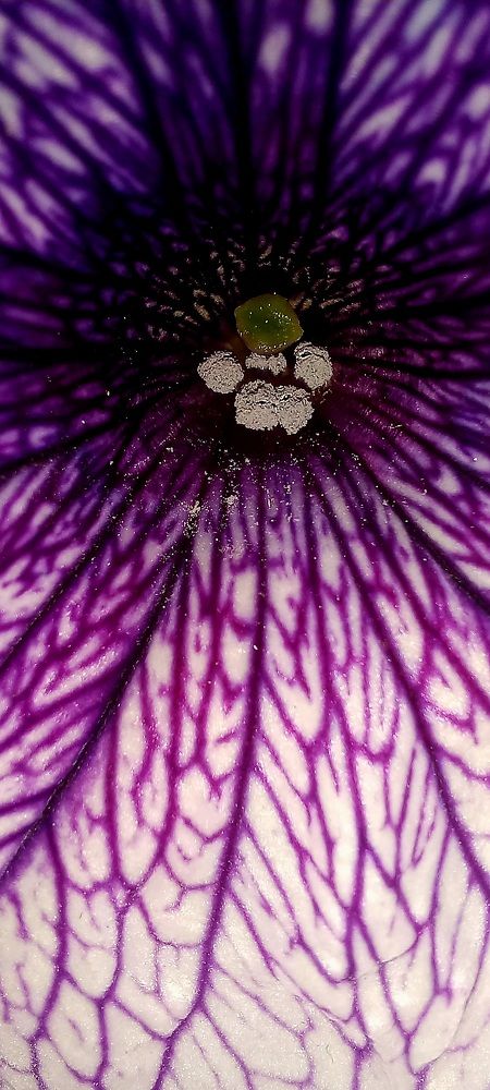 Photograph by Каковкина Ольга