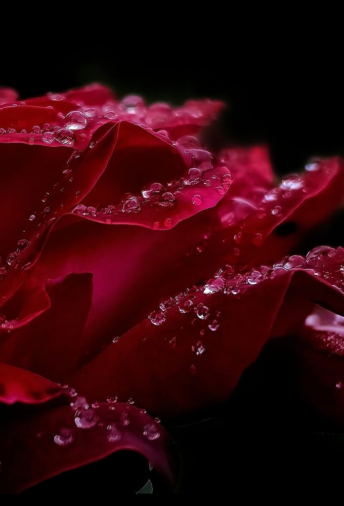 Photograph by Alen Brkić