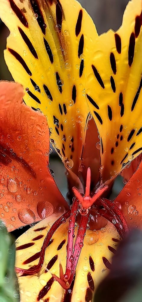 Photograph by Alen Brkić