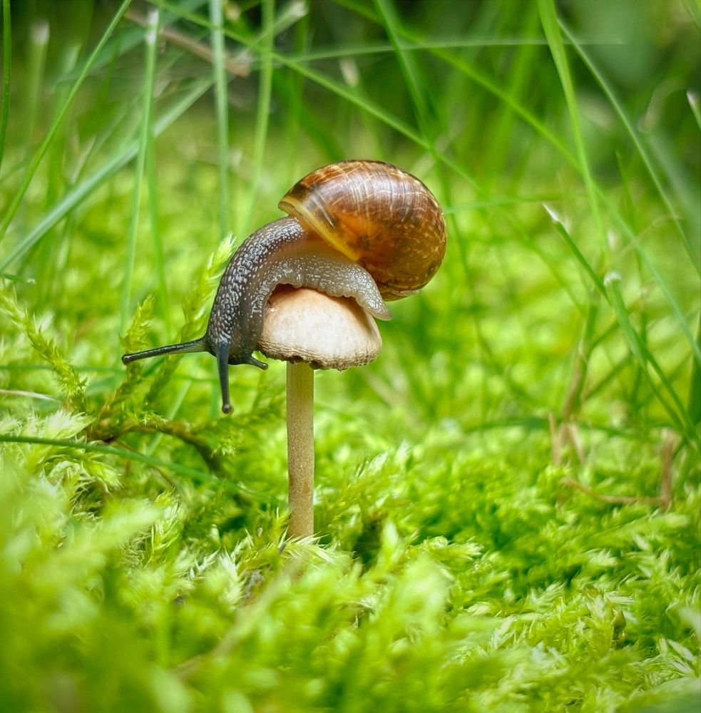 Photograph by Марина