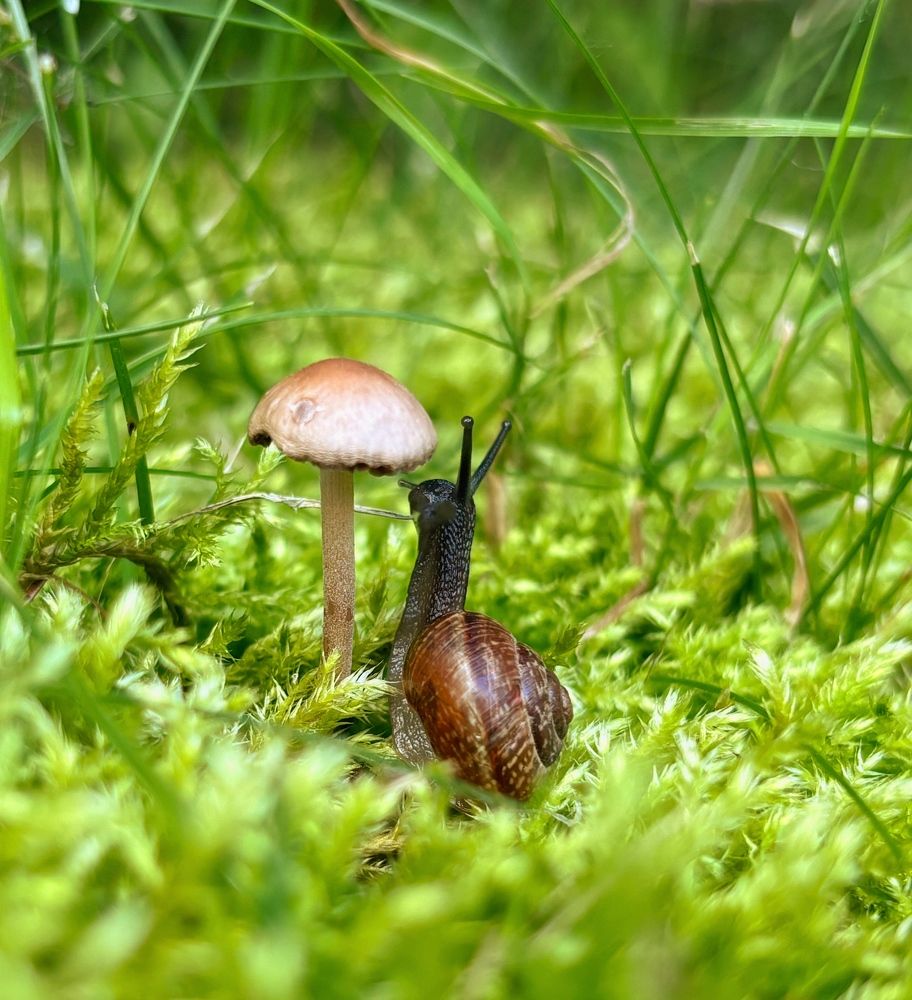 Photograph by Марина