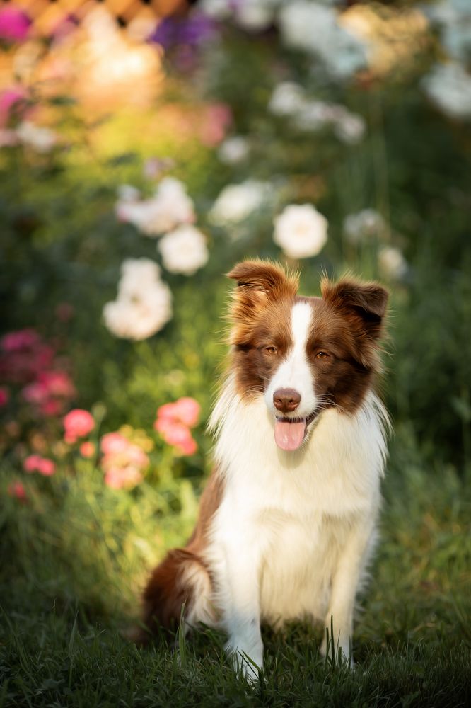 Фотография автора Anna Groshikova