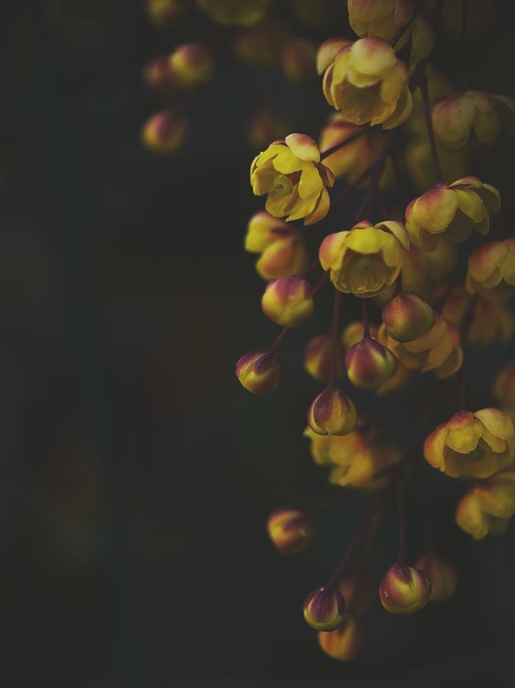 Photograph by Victoria Stoliarenko