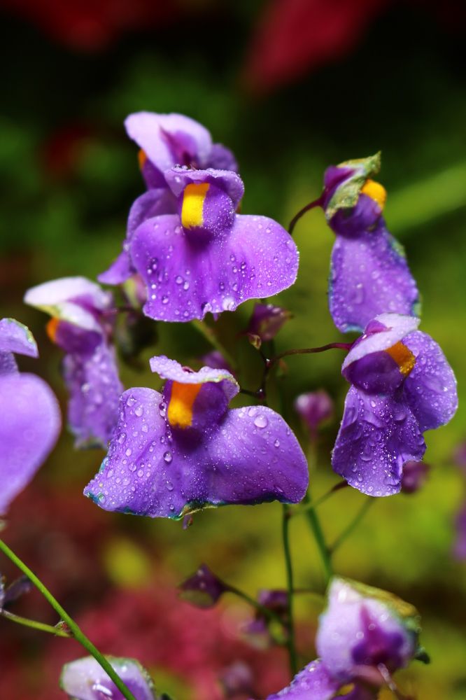 Photograph by Светлана Шуткова