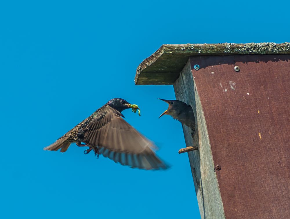 Фотография автора Олег Анатольевич Загорулько