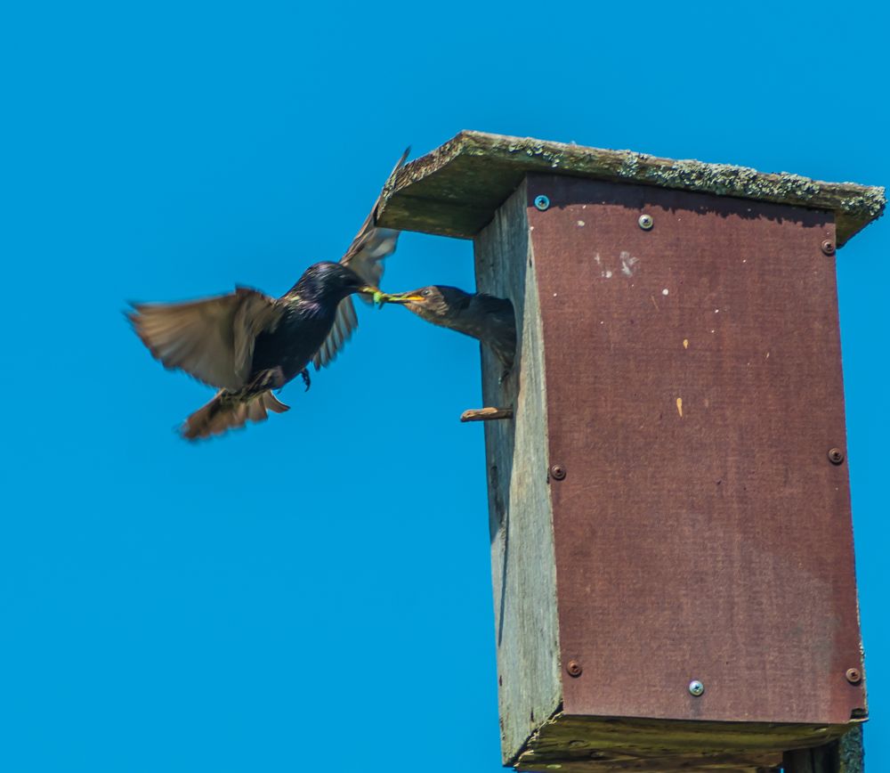 Фотография автора Олег Анатольевич Загорулько