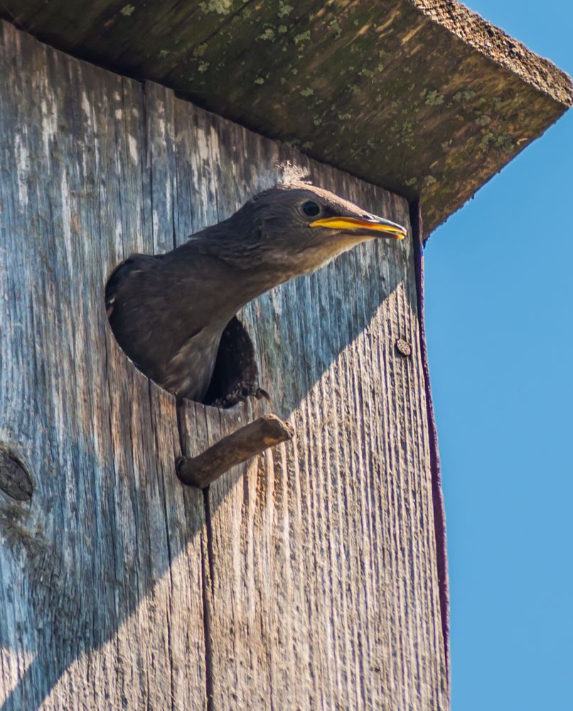 Фотография автора Олег Анатольевич Загорулько