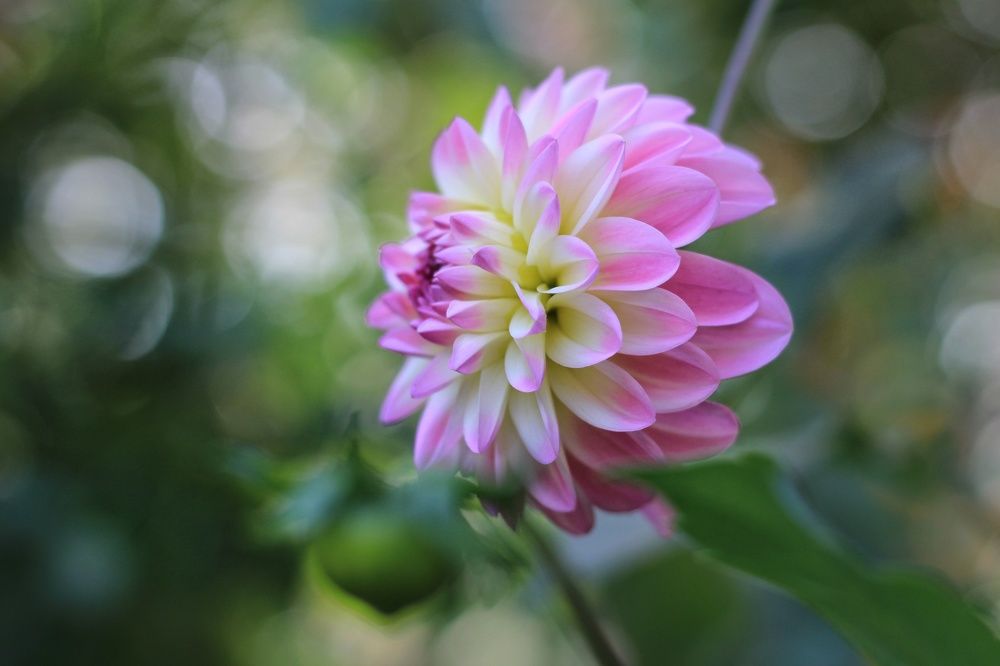 Photograph by Инна Карасева