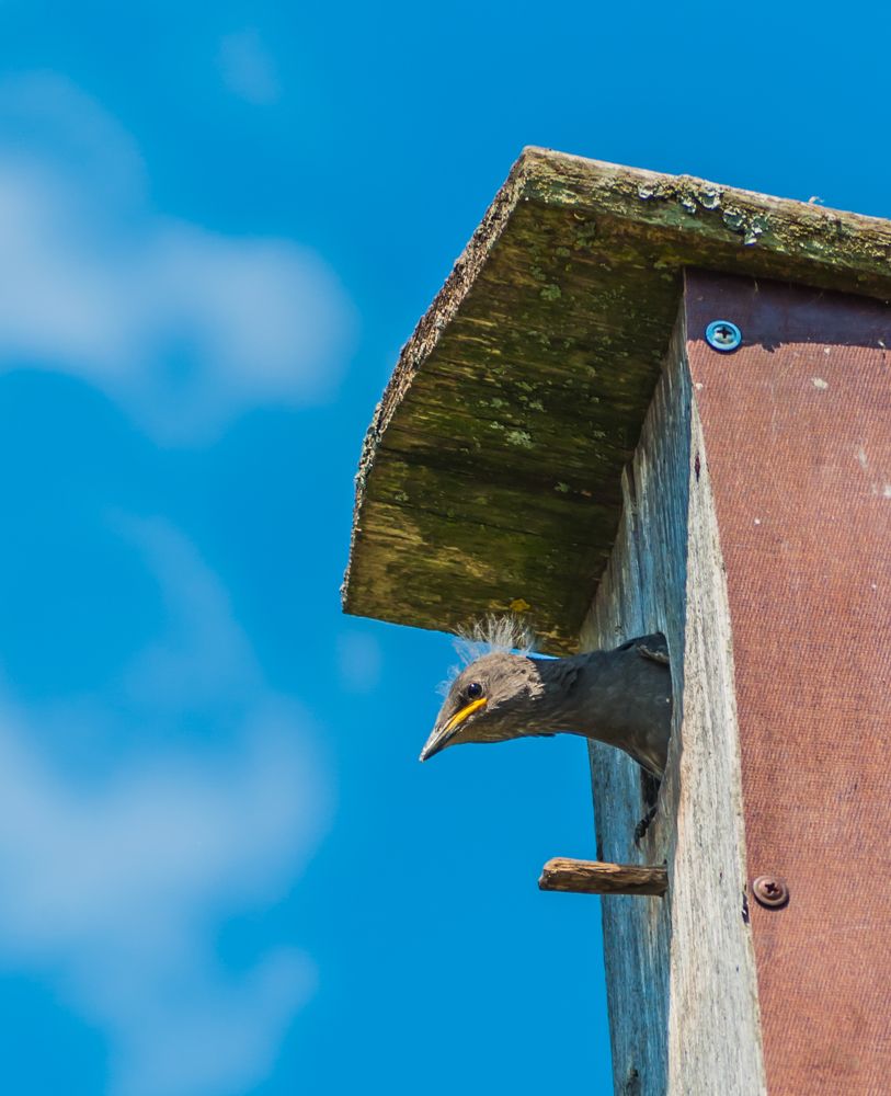 Фотография автора Олег Анатольевич Загорулько