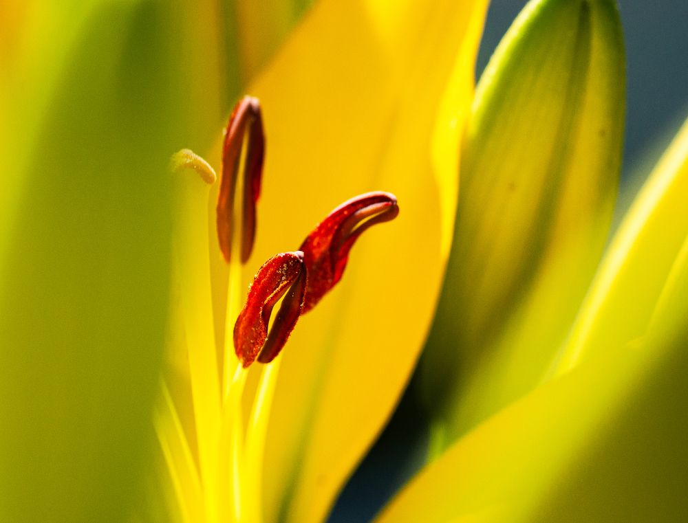 Фотография автора Олег Анатольевич Загорулько