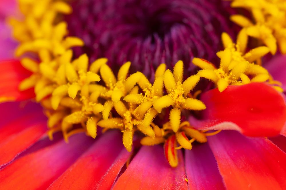 Фотография автора Олег Анатольевич Загорулько