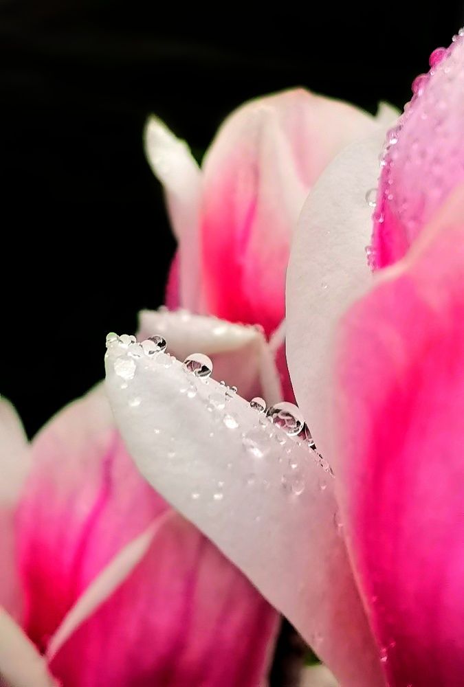 Photograph by Alen Brkić