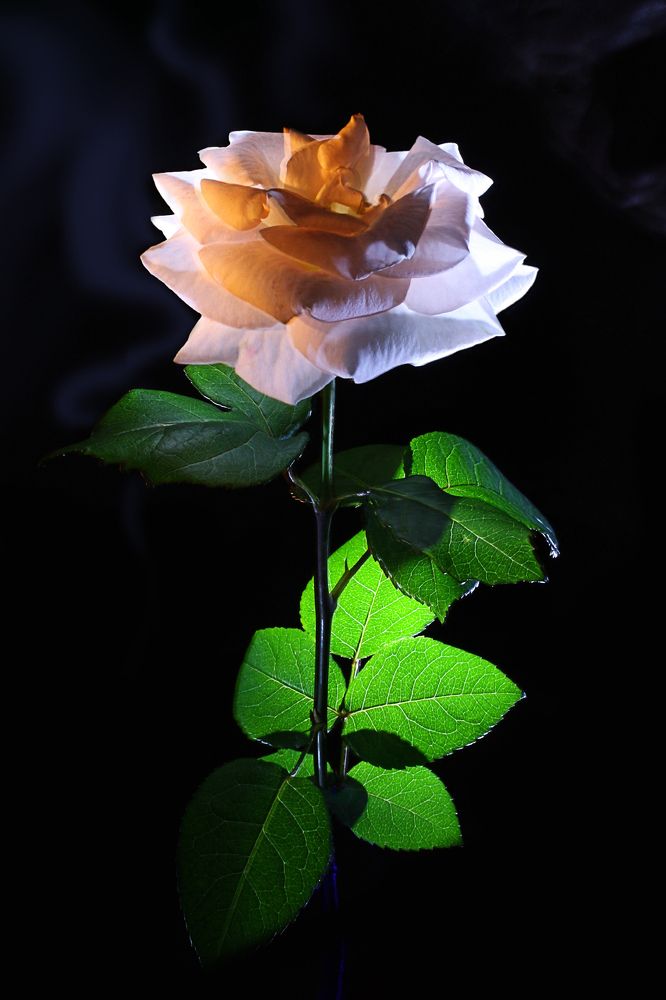 Photograph by виктор ковчин