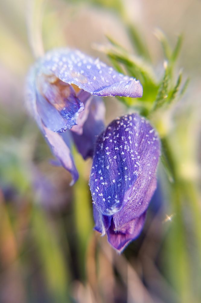 Photograph by виктор ковчин